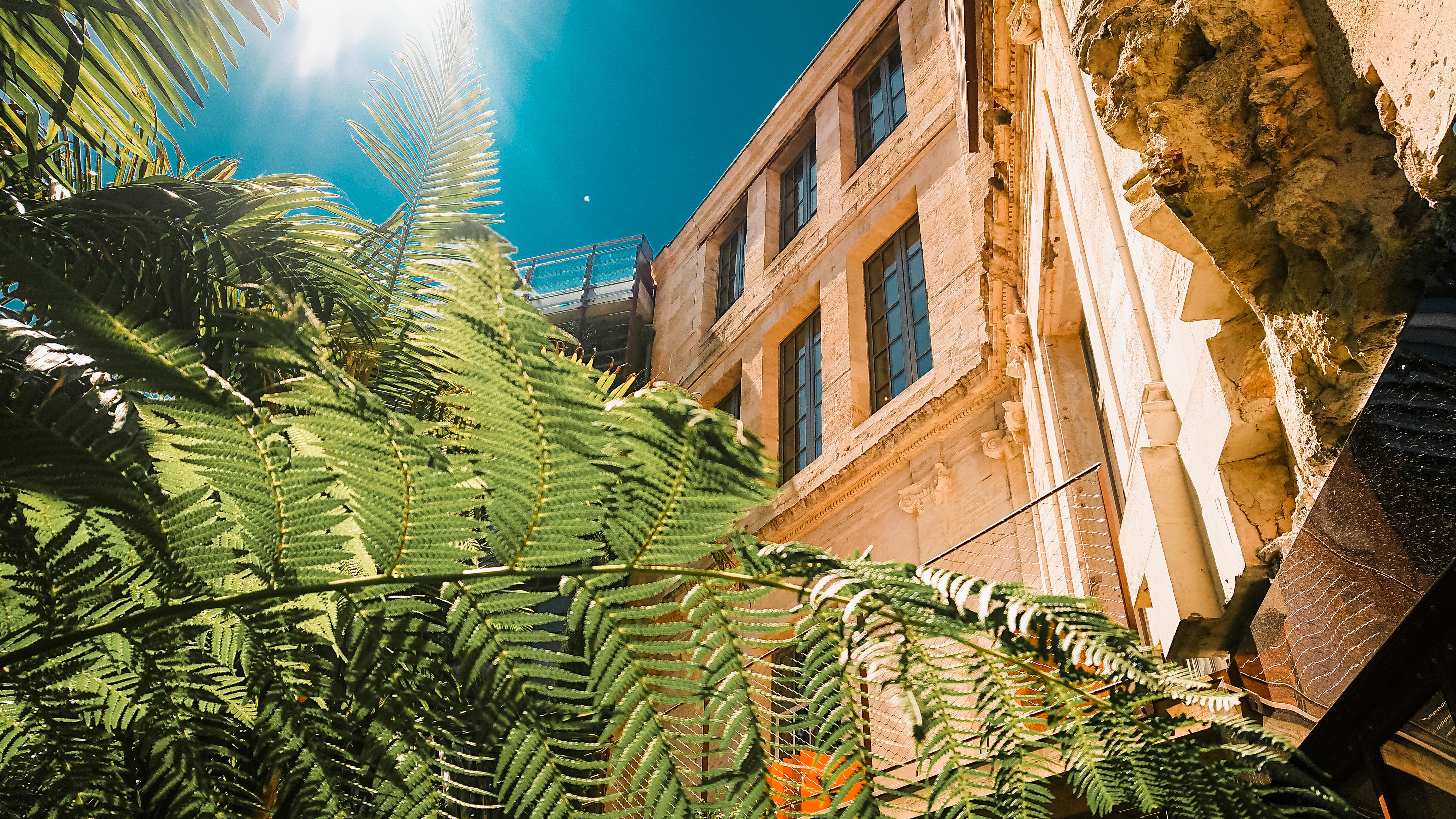 Hotel La Zoologie & Spa بوردو المظهر الخارجي الصورة